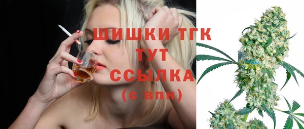 гашик Саяногорск