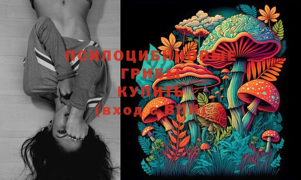 соль курить ск Сатка