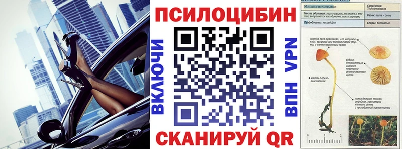 Купить закладки  Чкаловск  Псилоцибиновые грибы GOLDEN TEACHER 